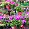 WINNER: $1,000 Landscaping Makeover