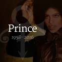 Prince